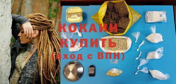 дживик Богородск