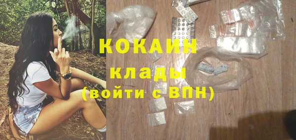 ПСИЛОЦИБИНОВЫЕ ГРИБЫ Богданович