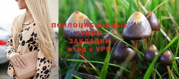 дживик Богородск