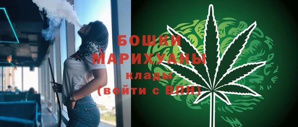 ПСИЛОЦИБИНОВЫЕ ГРИБЫ Богданович